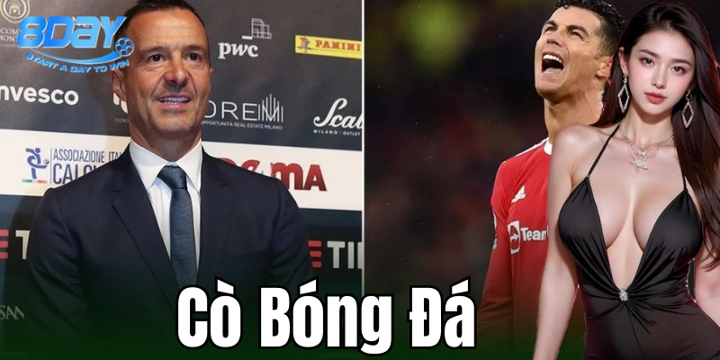 Tổng quan về khái niệm cò bóng đá