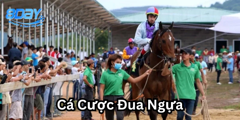 Cá Cược Đua Ngựa – Cách Chọn Kèo Chuẩn Xác Từ Dân Chuyên
