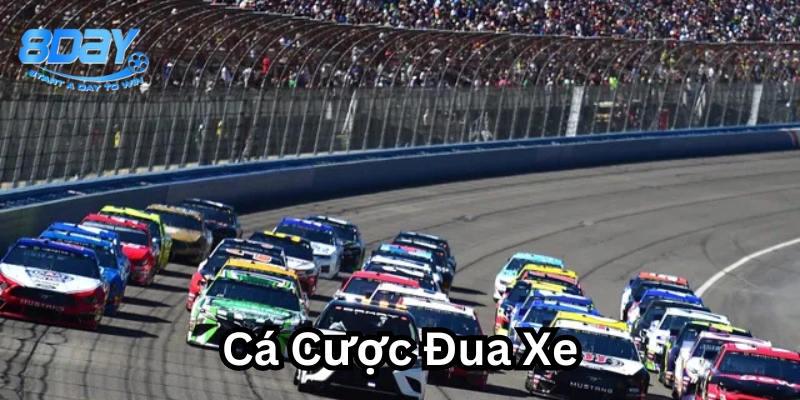Cá Cược Đua Xe Nascar