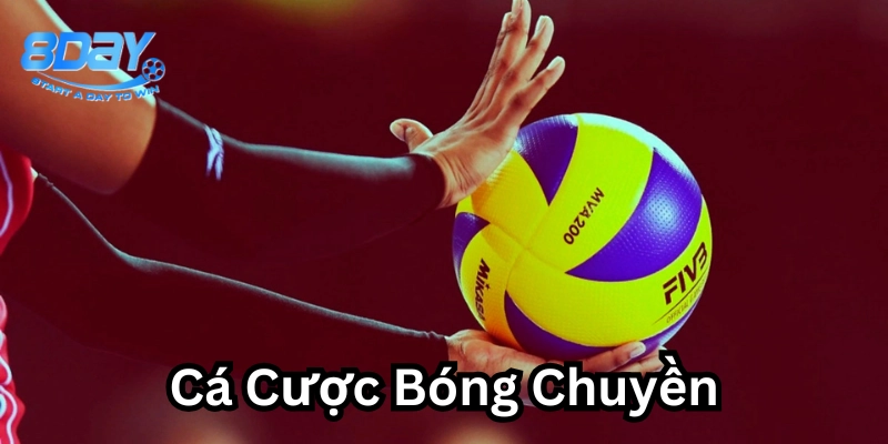 Mẹo soi kèo Cá Cược Bóng Chuyền